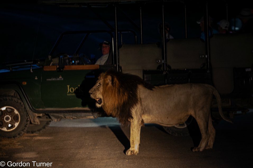 <h2>The Best of South Africa Escorted 2023</h2> 14 Nights | 6 Rounds | March 11 - 25